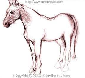 Horse Sketch